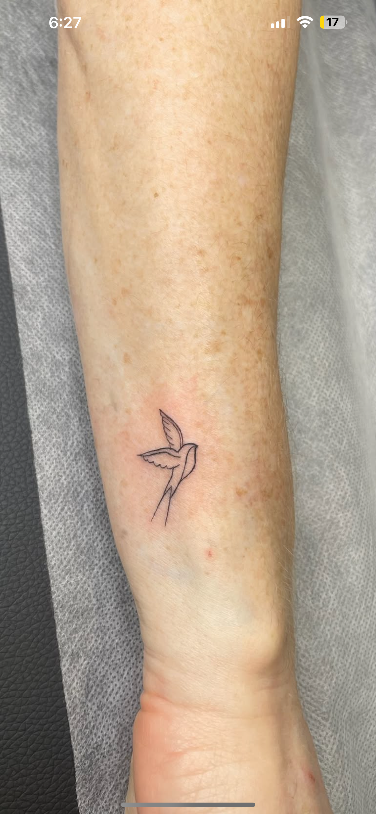 Fine line tattoo portfolio piece 6